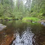 Ilmastoitu Ja Rantasauna