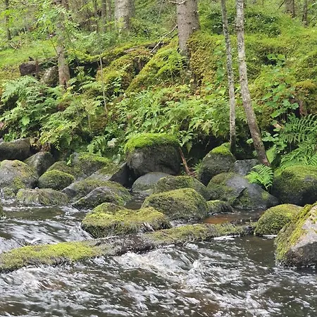 Ilmastoitu Ja Rantasauna * Keuruu