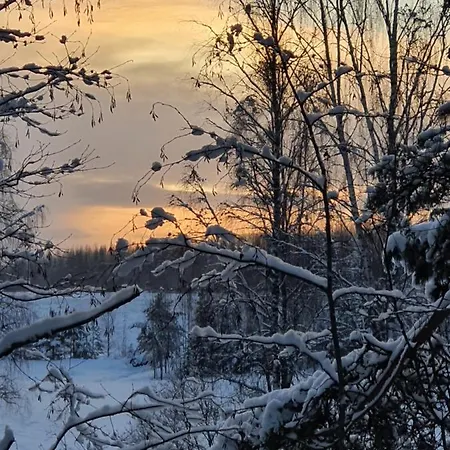 Ilmastoitu Ja Rantasauna Keuruu