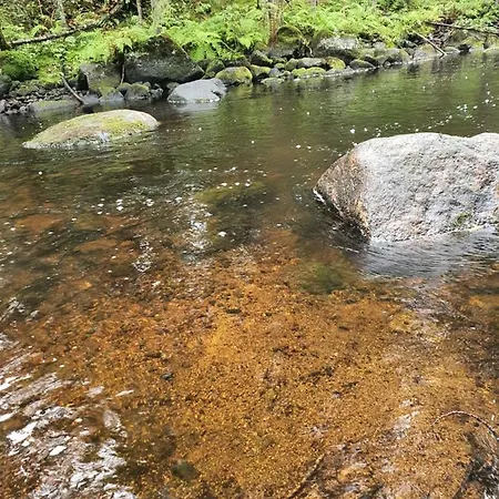 Ilmastoitu Ja Rantasauna Villa