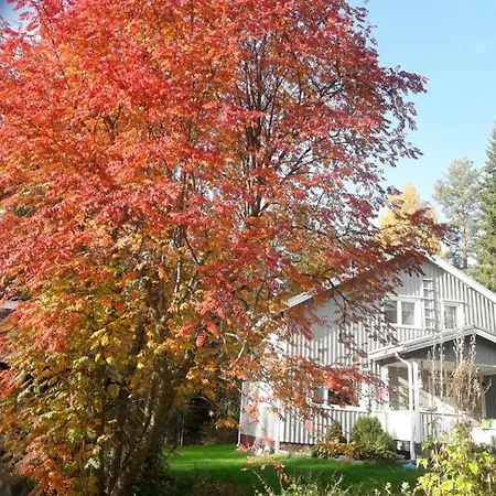 Ilmastoitu Ja Rantasauna * Keuruu