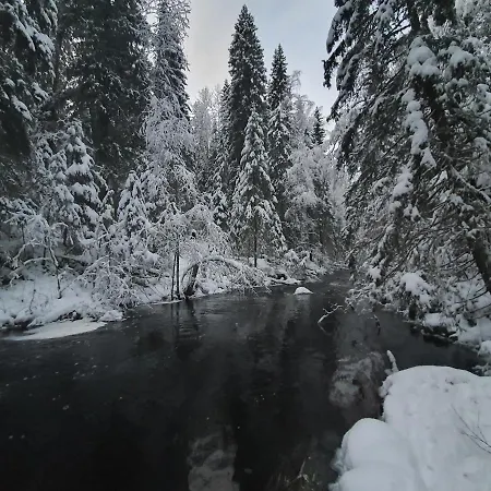Βίλα Ilmastoitu Ja Rantasauna Keuruu