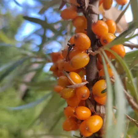 Ilmastoitu Ja Rantasauna