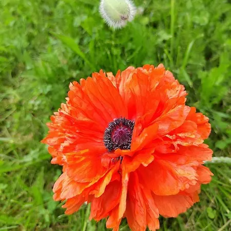 Villa Ilmastoitu Ja Rantasauna *