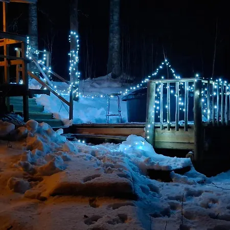 Ilmastoitu Ja Rantasauna Villa *