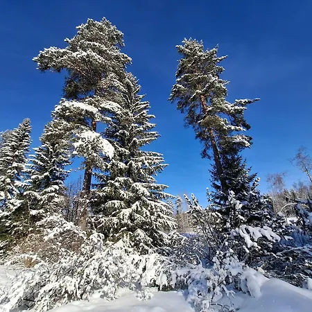 Villa Ilmastoitu Ja Rantasauna *