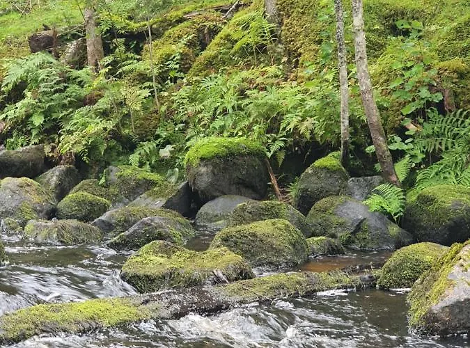 Ilmastoitu Ja Rantasauna * Кеуруу