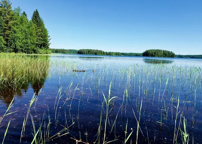 Ilmastoitu Ja Rantasauna Кеуруу