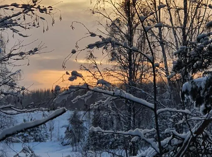 Ilmastoitu Ja Rantasauna Кеуруу