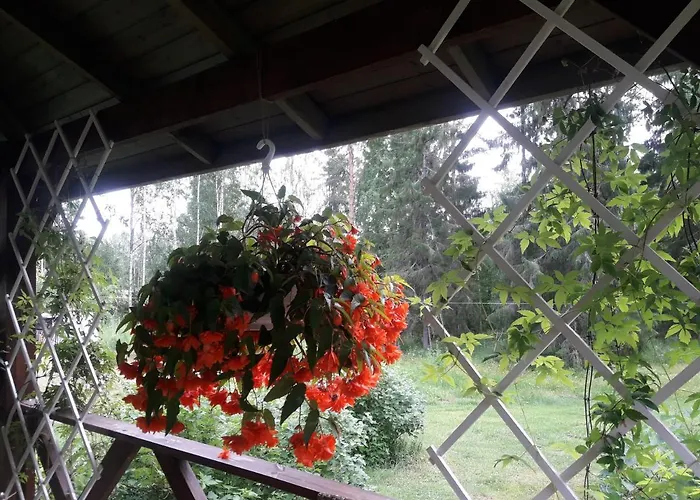 Ilmastoitu Ja Rantasauna * Кеуруу