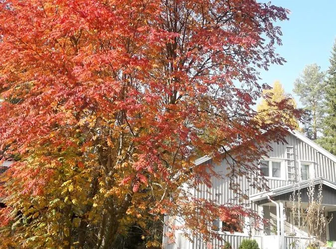 Ilmastoitu Ja Rantasauna * Кеуруу