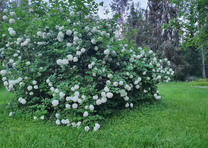 Ilmastoitu Ja Rantasauna Вилла