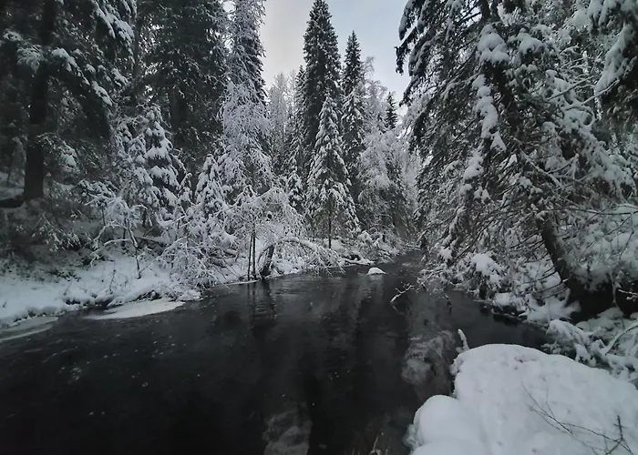 Вилла Ilmastoitu Ja Rantasauna Кеуруу