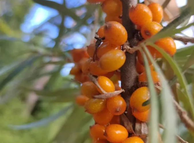 Ilmastoitu Ja Rantasauna