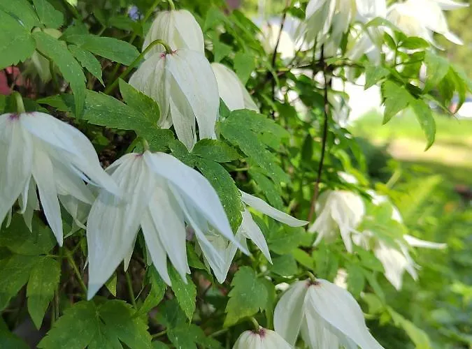 Villa Ilmastoitu Ja Rantasauna