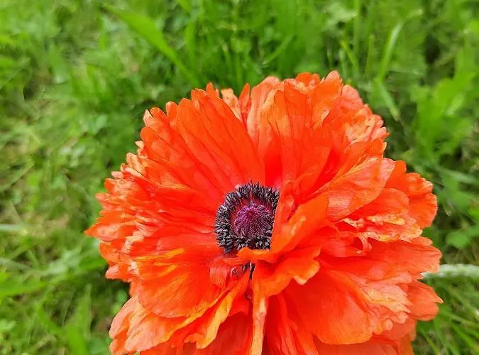 Вилла Ilmastoitu Ja Rantasauna *