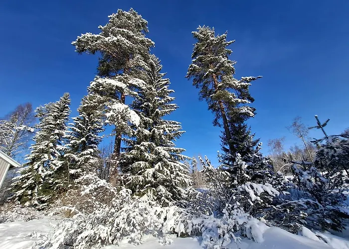 Вилла Ilmastoitu Ja Rantasauna *